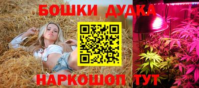 кокаин Кандалакша