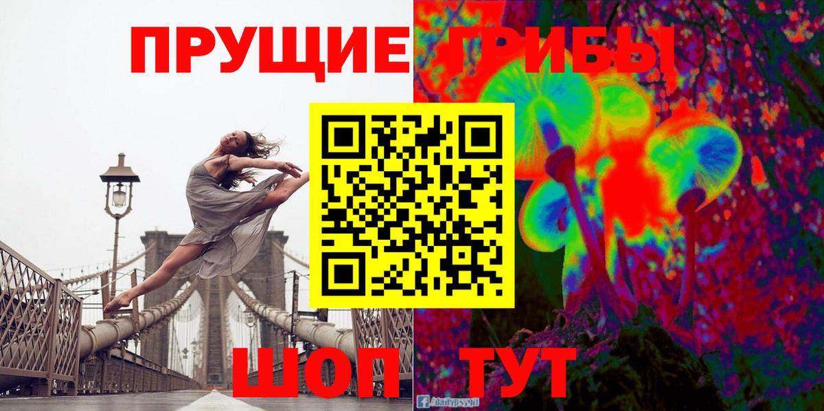 Псилоцибиновые грибы Psilocybe  Псилоцибиновые грибы мицелий  Вход с VPN  Красноуфимск 